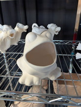 Load image into Gallery viewer, Frog Mouth
